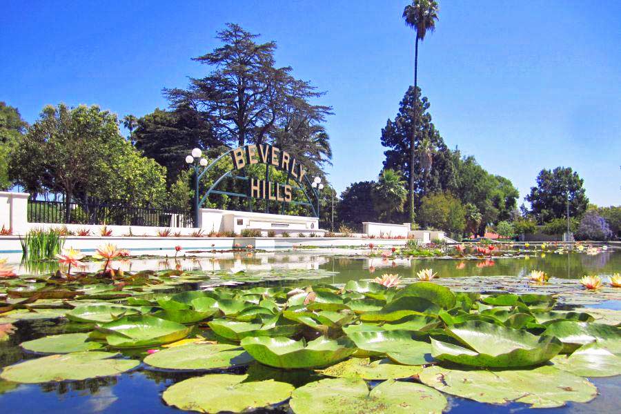 Community Development with Beverly Hills Sign and Lily Pads